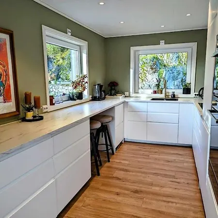 Villa Nyoppusset Hus Med Utsikt. Steinkjer