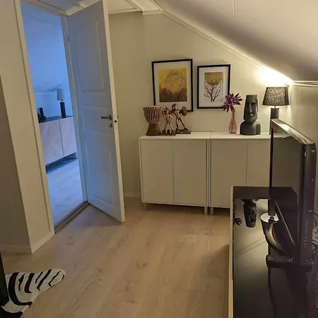 Nyoppusset Hus Med Utsikt. Steinkjer