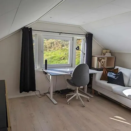 Nyoppusset Hus Med Utsikt. *